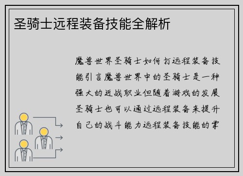圣骑士远程装备技能全解析